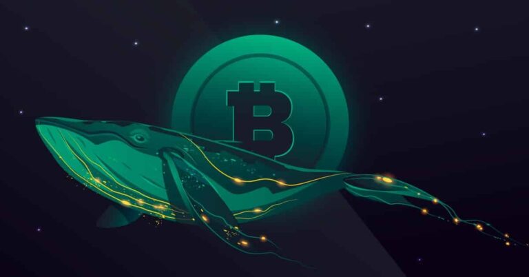 Bitcoin Mega Whale Holdings досягає річного максимуму, оскільки BTC перевищив 31 000 доларів