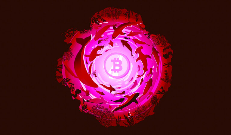 Акції BTC найбагатшого Bitcoin Whale зросли до понад 2 560 000 000 доларів США на тлі нового шаленого накопичення