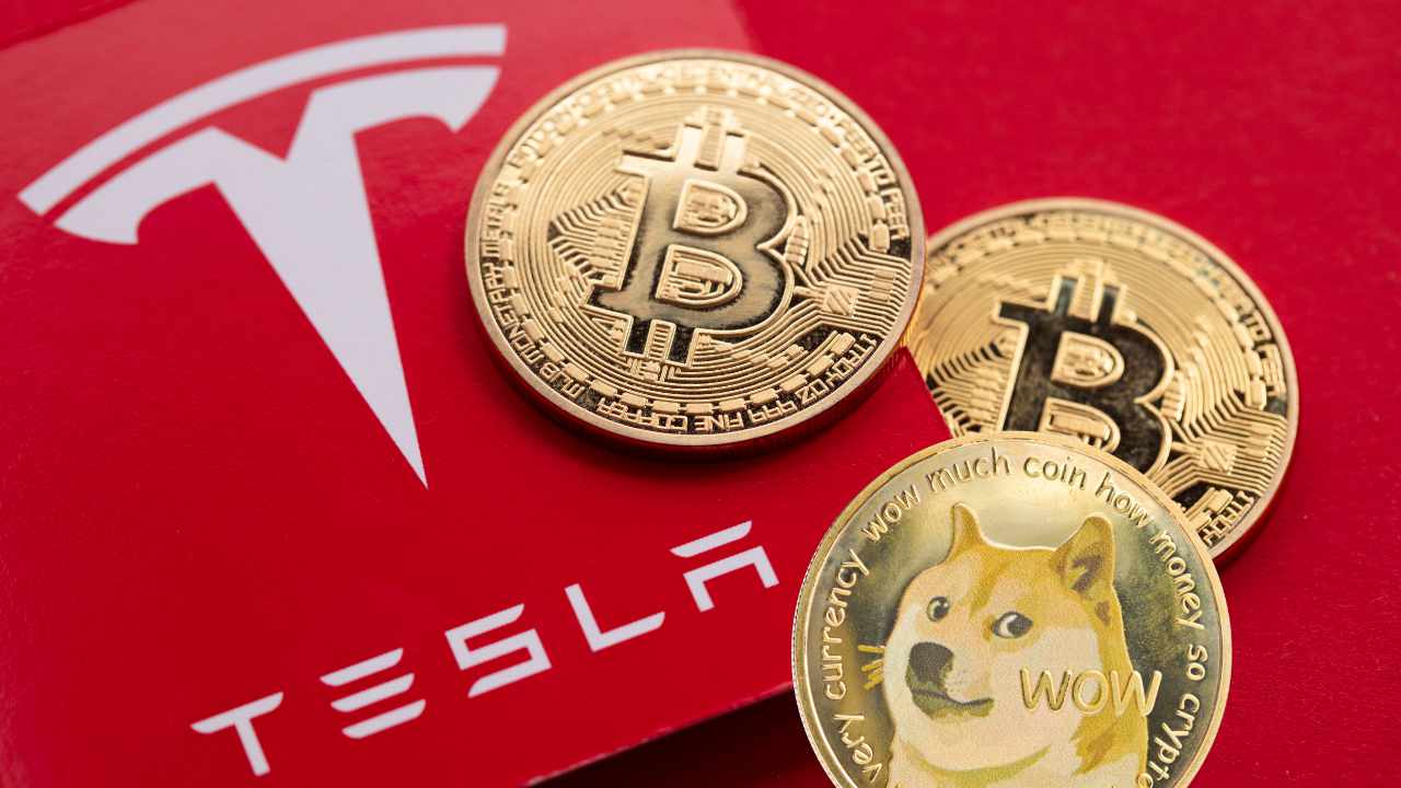 Tesla продала 75% своїх біткойнів — Ілон Маск каже, що «ми не продавали жодного з наших доджкойнів» — рекомендовані новини про біткойни Tesla продала 75% своїх біткойнів — Ілон Маск каже, що «ми не продавали жодного з наших доджкойнів» — рекомендовані новини про біткойни