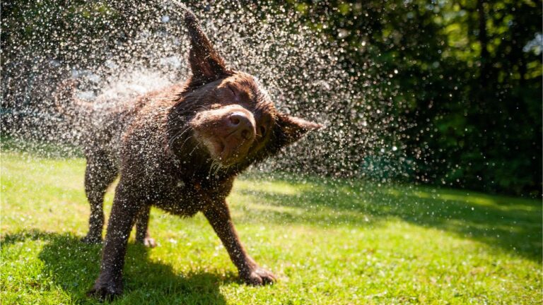 Зниження від 70 до 90% — падіння криптоекономіки витрясло 2 трильйони доларів за 8 місяців — оновлення ринку Bitcoin News Зниження від 70 до 90% — падіння криптоекономіки витрясло 2 трильйони доларів за 8 місяців — оновлення ринку Bitcoin News