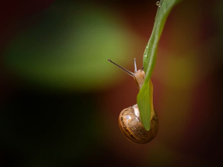 Біткойн на дюйми вище, але повільний обсяг свідчить про небажання інвестувати Біткойн на дюйми вище, але повільний обсяг свідчить про небажання інвестувати