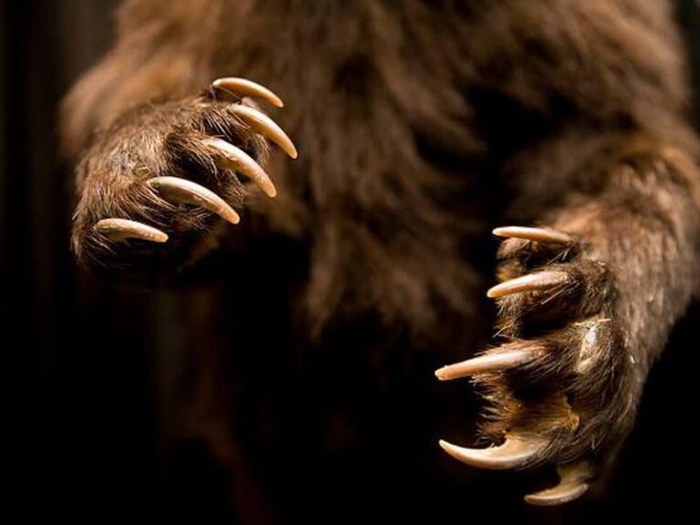 Біткойн повертається вище 20 тисяч доларів; Промова глави сінгапурського банку відображає зростаючу крипто ворожнечу Біткойн повертається вище 20 тисяч доларів; Промова глави сінгапурського банку відображає зростаючу крипто ворожнечу