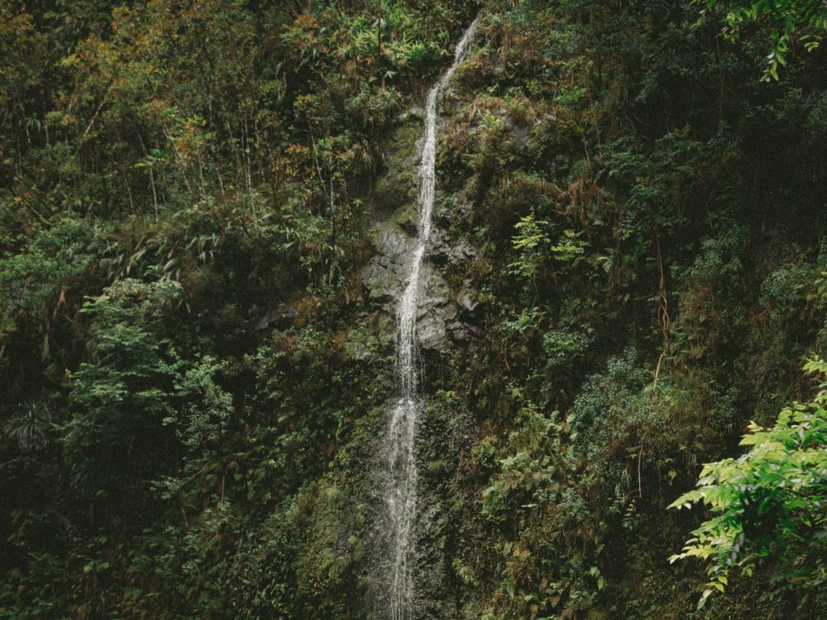 Біткойн, ефір продовжують стрімке зниження волатильності