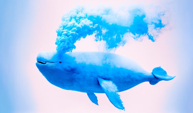 Криптокити переміщують понад 317 000 000 доларів США в біткойнах, Ethereum, XRP і Polygon – ось куди вони прямують Криптокити переміщують понад 317 000 000 доларів США в біткойнах, Ethereum, XRP і Polygon – ось куди вони прямують