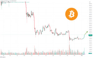 After Bitcoin Price Rallies 12% to $19k is it Time to Buy Top Crypto Coin?