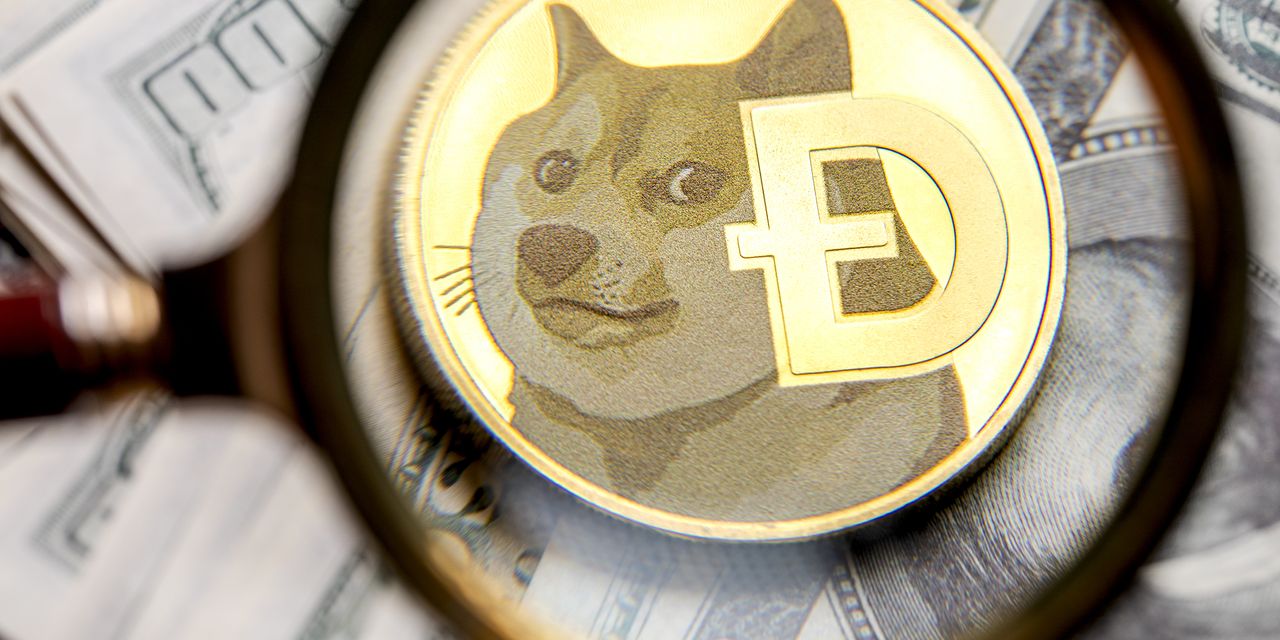 Dogecoin стрімко зростає, а біткойн відстає.  Дякую Ілону Маску ще раз, звичайно.