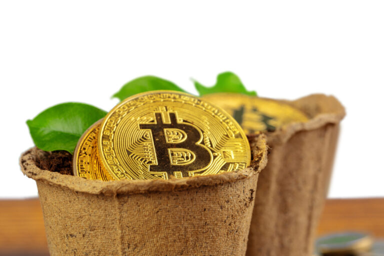 Біткойн відновлюється, оскільки США підтримують депозити в банках, пов’язаних з криптовалютою