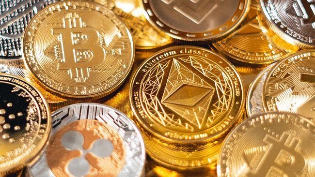 Big Eyes Coin підтверджує завершення передпродажу в червні 2023 року на тлі проведення події Halving Bitcoin у квітні 2024 року!  – ThePrint – ANIPressReleases