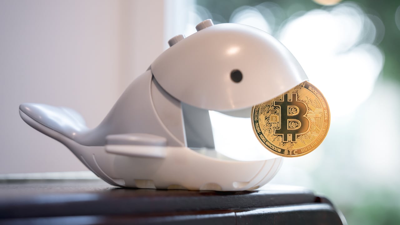 Bitcoin Whale передає бездіяльні монети на 13 мільйонів доларів, датовані 2012 та 2013 роками – Новини про біткойни Bitcoin Whale передає бездіяльні монети на 13 мільйонів доларів, датовані 2012 та 2013 роками – Новини про біткойни