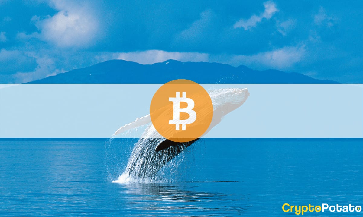 Bitcoin Whale переміщує 11 мільйонів доларів у BTC після 12 років бездіяльності