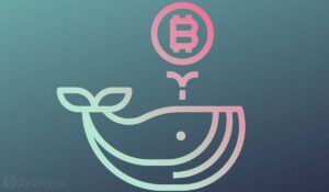 Mammoth BTC Whale: The Chinese Government Holds More Bitcoin Than Michael Saylor