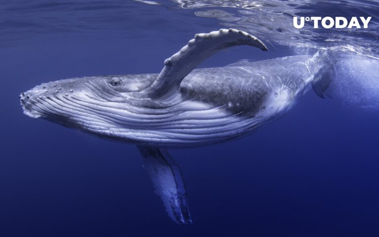 Масову адресу BTC Whale активовано Масову адресу BTC Whale активовано