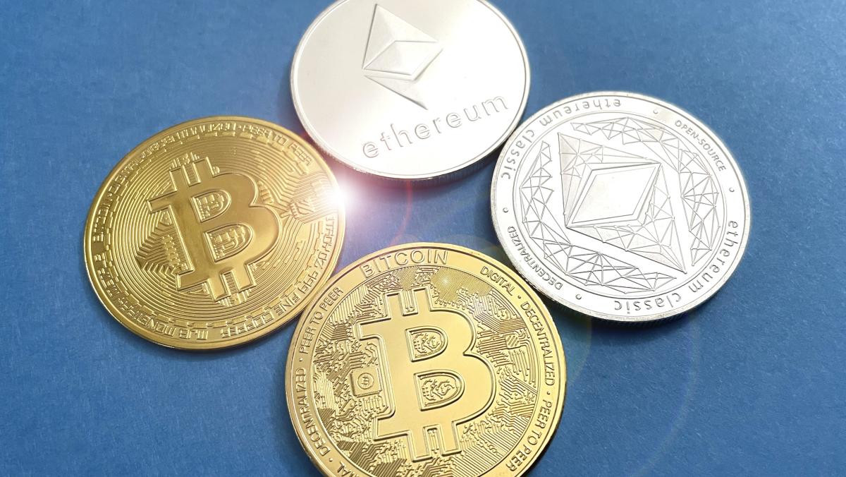 Ведучий Wolf of All Streets