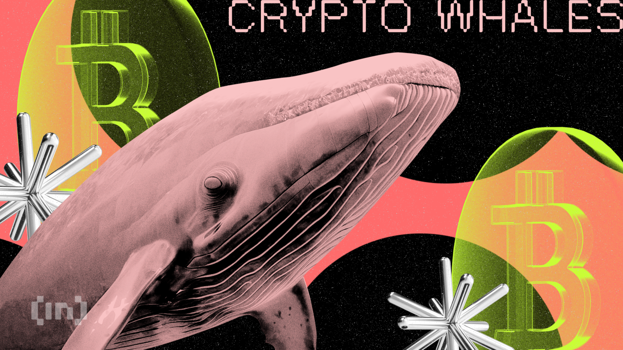 BTC Whales відмовляються від обмінів, але депозити продовжують зростати BTC Whales відмовляються від обмінів, але депозити продовжують зростати