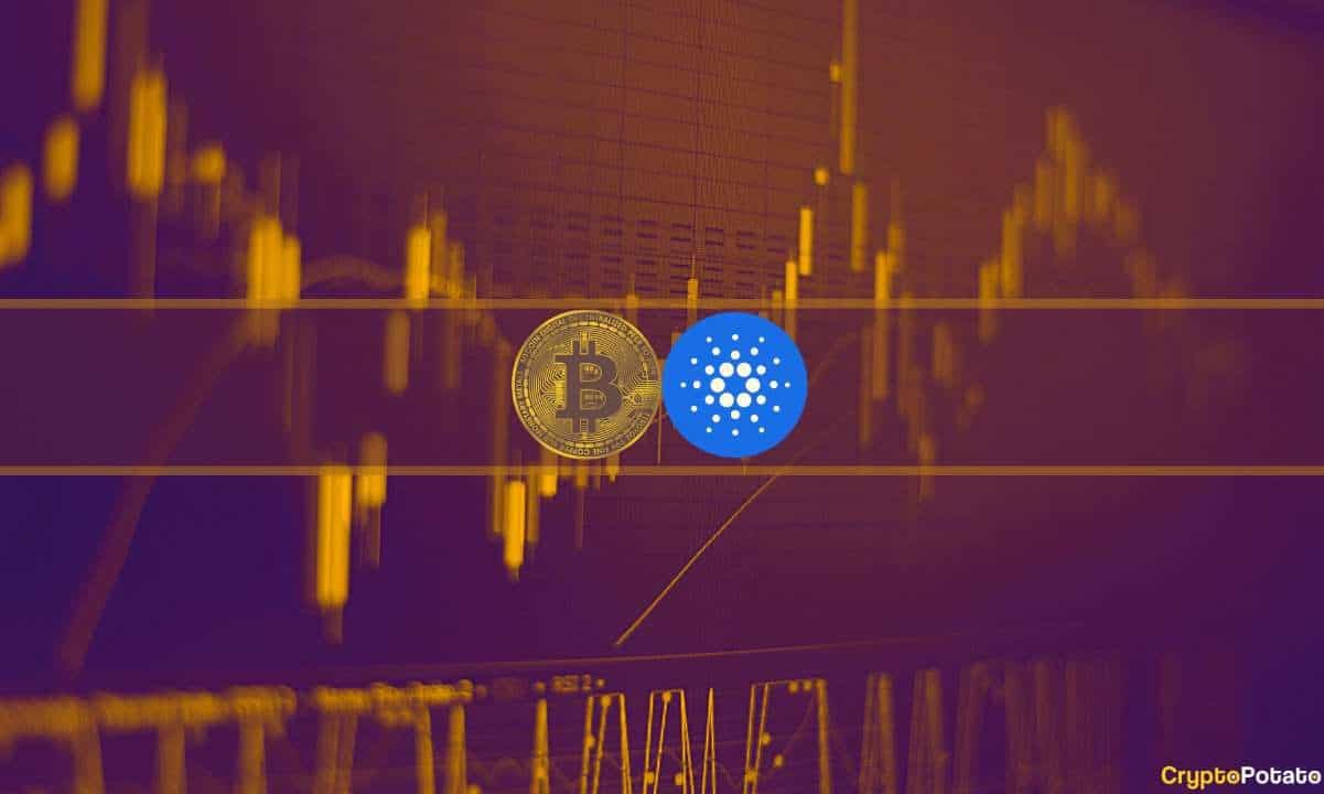 Біткойн (BTC) захищає 30 тисяч доларів, Cardano (ADA) падає на 4% щодня Біткойн (BTC) захищає 30 тисяч доларів, Cardano (ADA) падає на 4% щодня