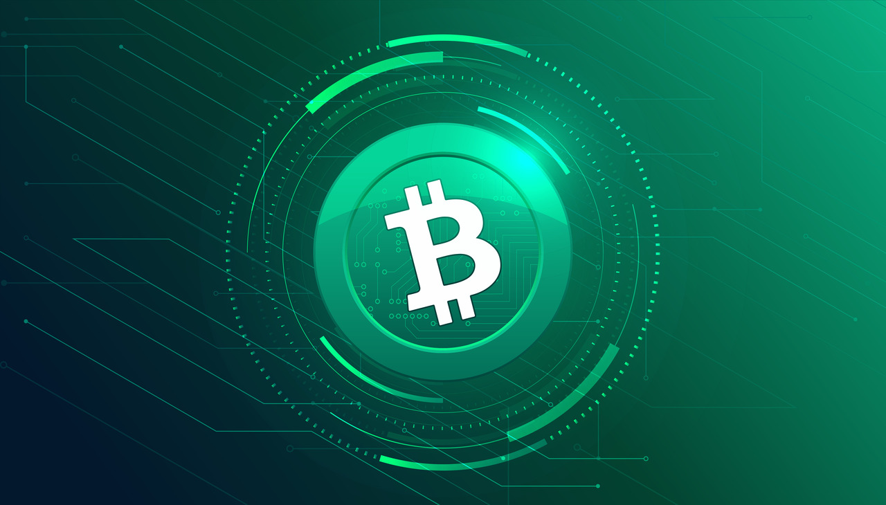Прогнозування ціни Bitcoin Cash: алгоритмічний підхід до прогнозування ціни Прогнозування ціни Bitcoin Cash: алгоритмічний підхід до прогнозування ціни
