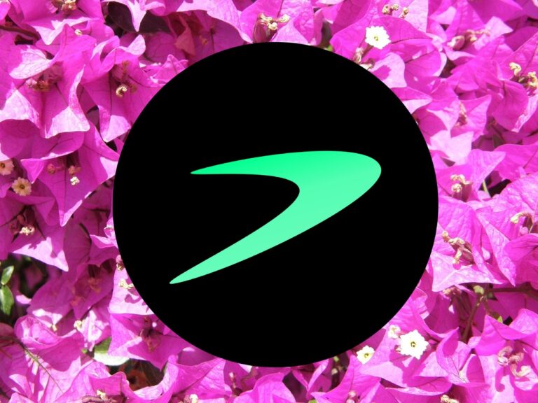 Монета Tellor зростає на 37% за день, оскільки Bitcoin BSC досягає позначки в 5,75 млн доларів Монета Tellor зростає на 37% за день, оскільки Bitcoin BSC досягає позначки в 5,75 млн доларів