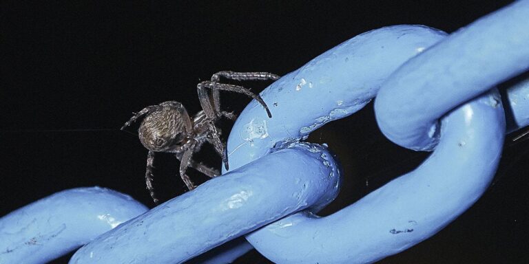 Як «Spiderchain» планує побудувати Ethereum на біткойнах