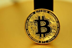 Bitcoin is the Jewel in the Crown