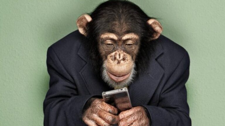 Mooners & Shakers: біткойн зростає через неправдиві звіти ETF;  Генеральний директор BlackRock бачить «відкладені відсотки»