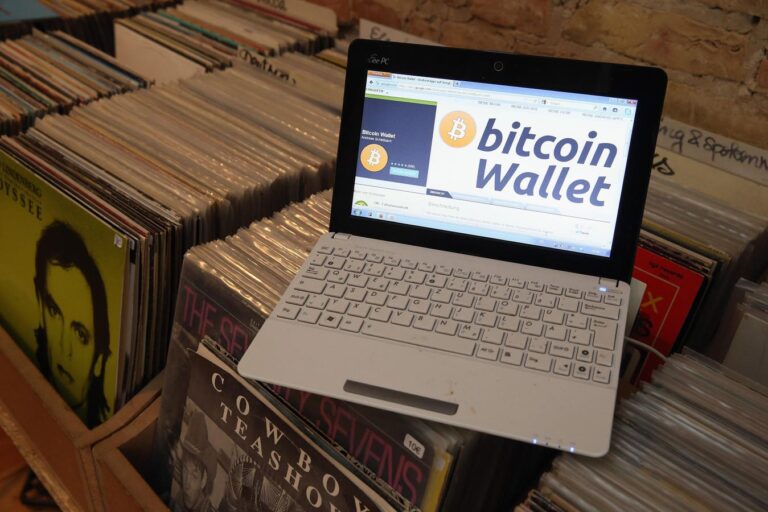 Зростання біткойна як зміни фінансової ситуації на ринках, що розвиваються Зростання біткойна як зміни фінансової ситуації на ринках, що розвиваються