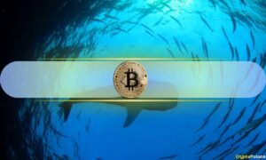 Bitcoin Whales за день заробили BTC на 2,8 млрд доларів: CryptoQuant