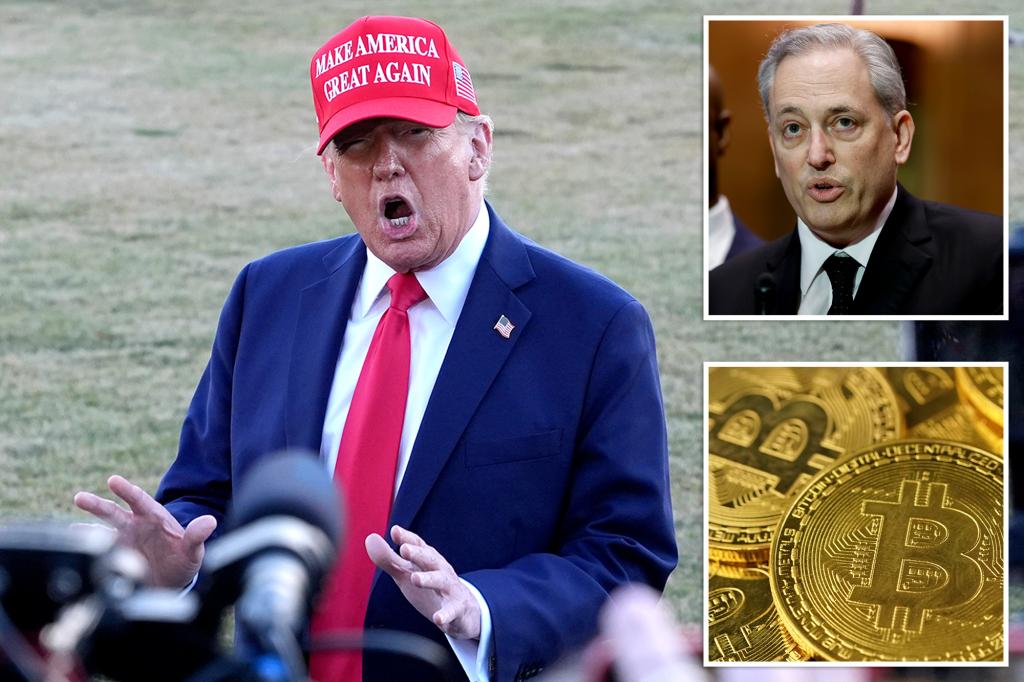 Трамп представляє цифрові активи, які повинні бути включені до “Crypto Strategic Reserve”, надсилаючи біткойн, його Memecoin та інші Трамп представляє цифрові активи, які повинні бути включені до “Crypto Strategic Reserve”, надсилаючи біткойн, його Memecoin та інші