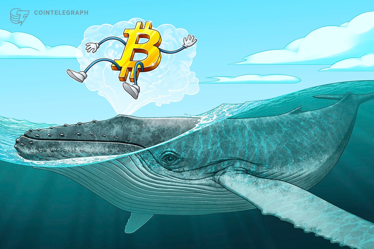 Китати з біткойна поглинають 300% нещодавно видобутого постачання BTC – це 100 тис. Доларів далі?