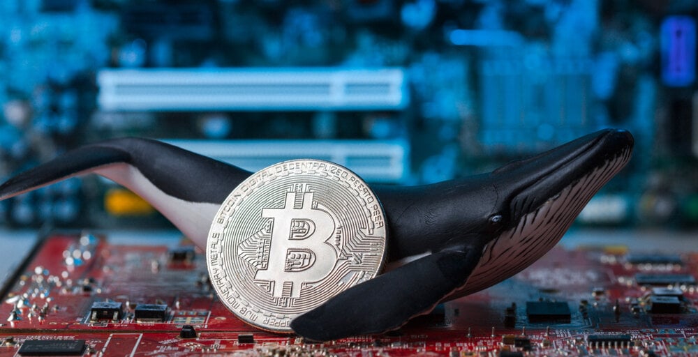 Від 5 до 5 мільйонів доларів: Bitcoin Whale Moves BTC видобути 15 років тому