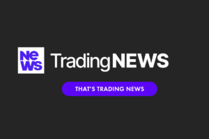 Біткойн ETF припливи вбирали 3 млрд доларів за 13 днів, коли Ibit Tops $ 75 млрд. AUM
