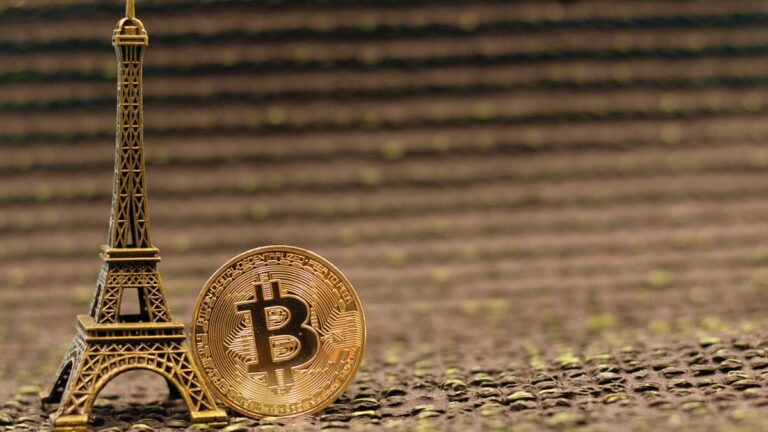 Французький податковий агент нібито продавав особисті дані користувачів Crypto злочинцям