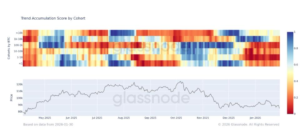 «Кити» купують провал, а всі інші біжать до виходів
