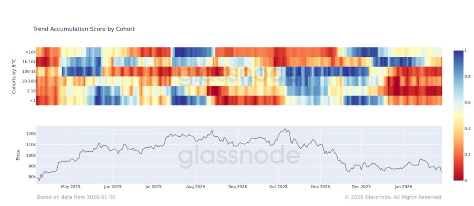 «Кити» купують провал, а всі інші біжать до виходів
