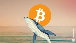 Стародавній кит ліквідує 2000 винагород у біткойнах, які неактивні з 2010 року