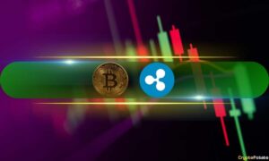 Зростання біткойна зупинилося на рівні 95 тисяч доларів, Ripple XRP зросла двозначними цифрами: спостереження за ринком