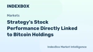 1000% прибуток стратегії та залежність від біткойнів | Аналіз 2026 року - Новини та статистика