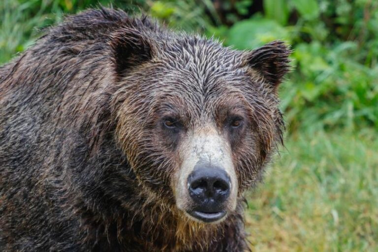Ось чому біткойн став нижчим від середнього за 200 днів